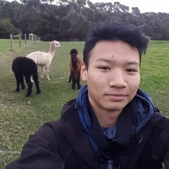 Johnny Nguyen