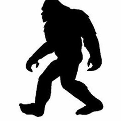 Squatch
