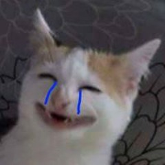 Trần Lê Quốc Hào