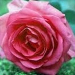 User 483616206