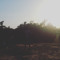 TheJamesNjenga