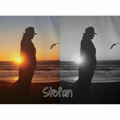 Stefan Quispe Flores