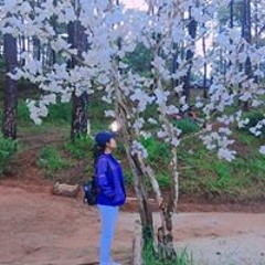 Thang Trinh