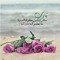 Ghada Elgonamy
