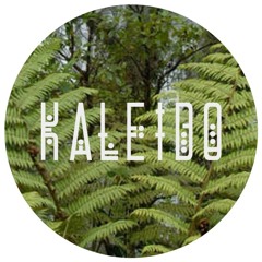 Kaleido Soundsystem