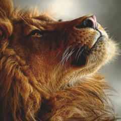 AmandeepSingh