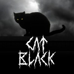 Cat Black Beats