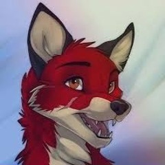 DJRedFox 13