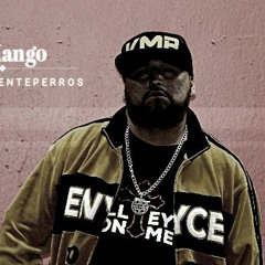 Mr. Kango