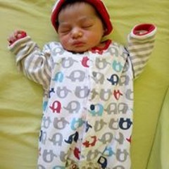 Mamt Asil
