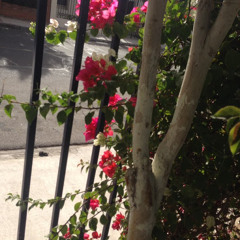 tumblr trash number one