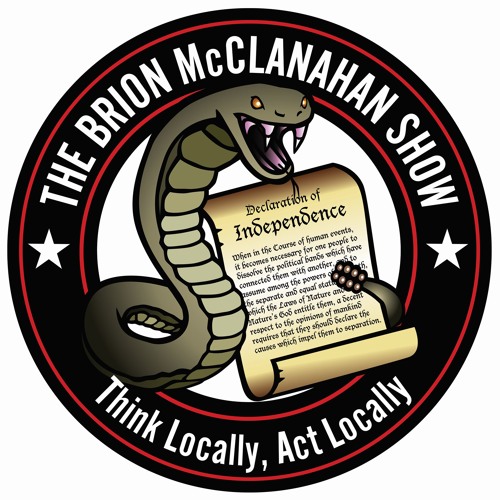 The Brion McClanahan Show’s avatar