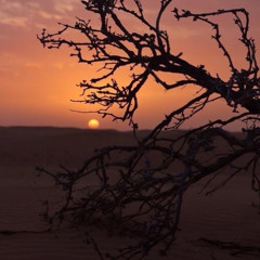 خواطر العشاق