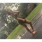 kaylaa_18644