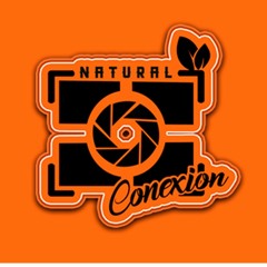 naturalconexion Entertainment