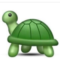 TheTurtle2121