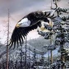 عباس حيدر حيدر