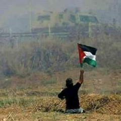 الشيخ محمد حسن