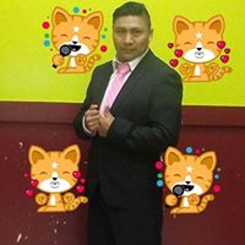 Junior Eltigre’s avatar