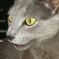 Mariusz123 krakus987