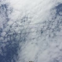 Артем Романов