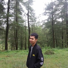 abadi zulfikar