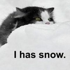 Julie Pratt Brantley