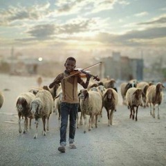 محمد عبدالمرضى