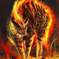 Cat of the Nightmare Realm