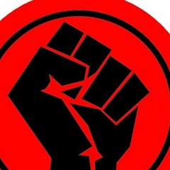 The Sparx Tribune Report