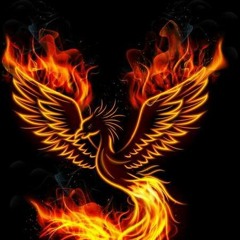 PheonixFire 286