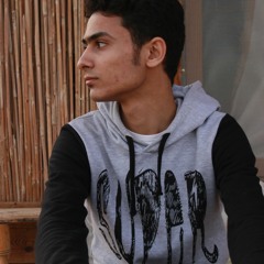 Mostafa elmahalawy