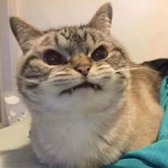 ВКУСНЫЙ ПОЗОР - ЖЕРЛО