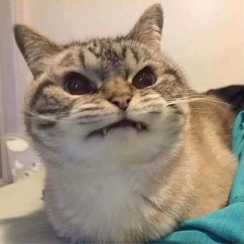 ВКУСНЫЙ ПОЗОР - ЖЕРЛО