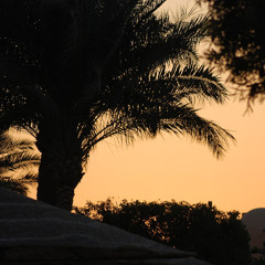 Jasså? du gillar mina låtar.