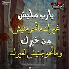 Alaa Shehab