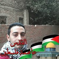 محمد امام