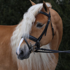 mariad