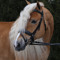 mariad