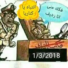 Ahmed Elsaed