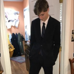 Professor Finesser