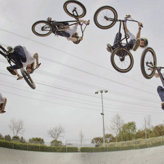 Tristin Niemeyer