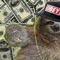 Sloth Reviews