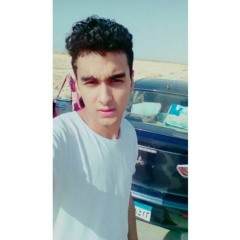 Mostafa Saeed