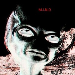 M.I.N.D Prod