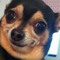 User 229209201