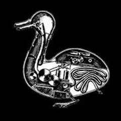 ducksauce