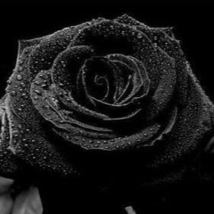 Blackrose