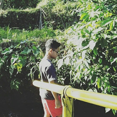 Adipp _