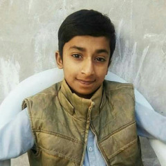 haider ali